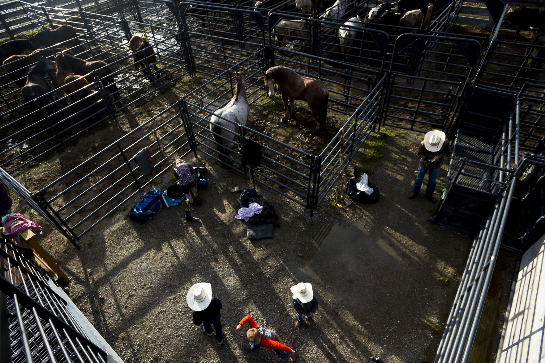 Opening night of Jackson Hole Rodeo